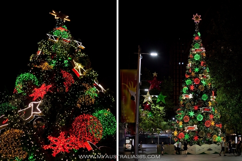 Новогодняя елка на Мартин Плейс