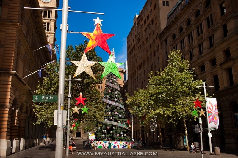 Рождественская елка на Мартин Плейс в Сиднее
