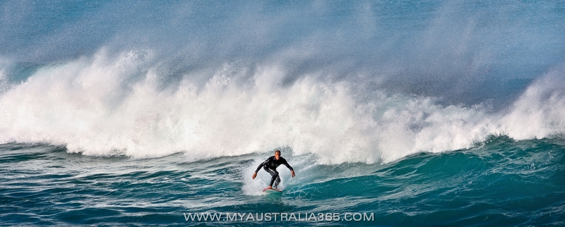 серфинг в Сиднее на пляже Бондай Бич