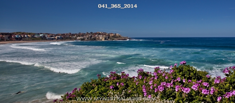 русский район Бондай в Сиднее