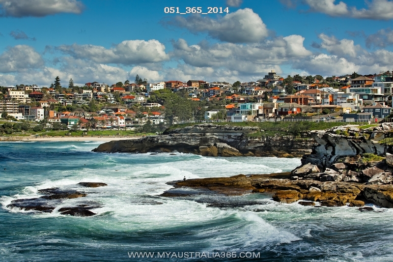 Прогулка вдоль океана от Бондая до Тамарамы