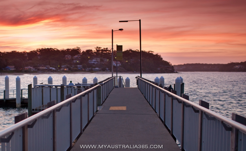 Бандина Bandeena