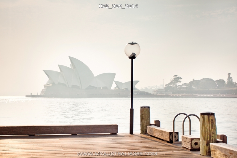 лесные пожары в Австралии