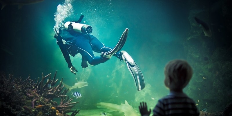 океанариум в Сиднее куда пойти с детьми в Сиднее