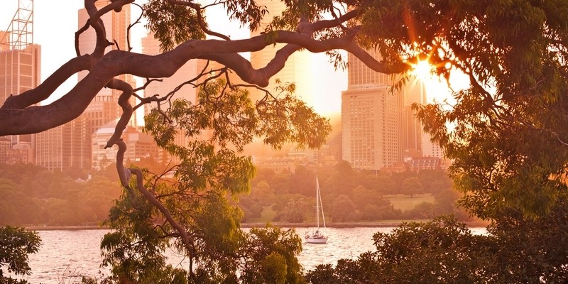 58/365/2014 | Королевский Ботанический сад в Сиднее