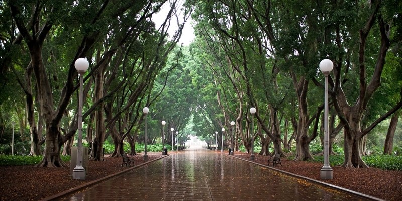 Гайд парк Hyde Park в Сиднее