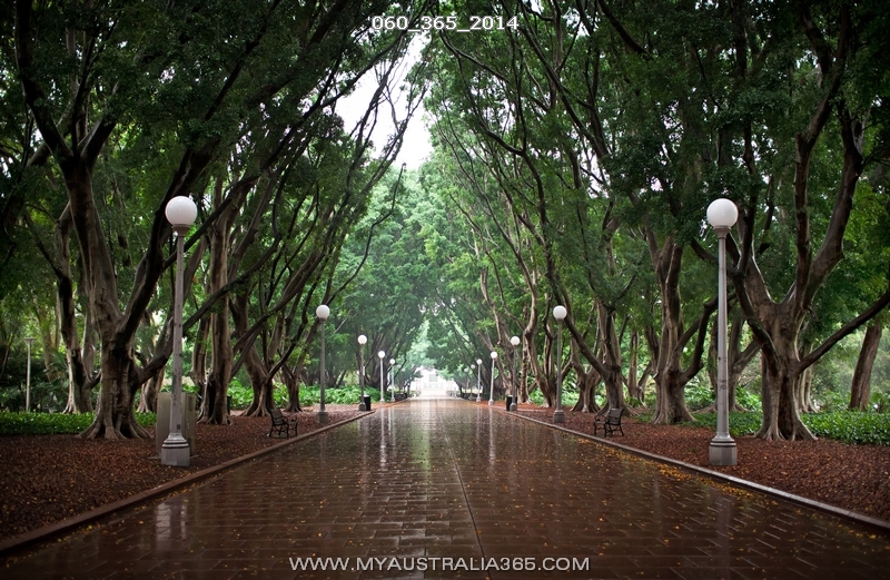 60/365/2014 | Гайд парк Hyde Park в Сиднее