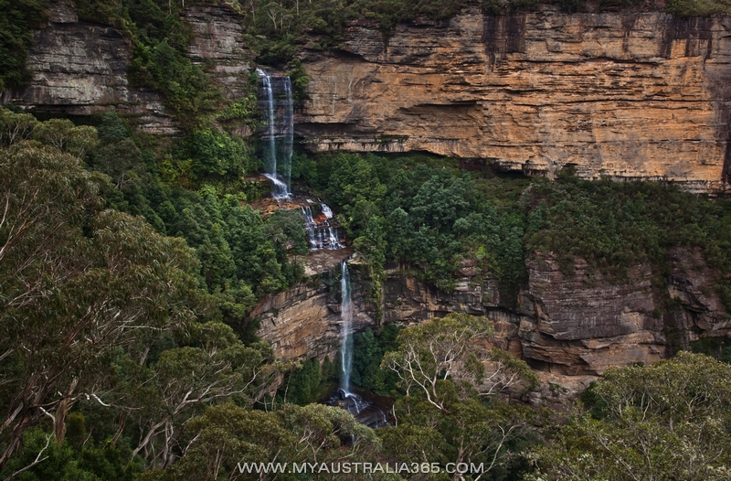  осень в Голубых горах в Сиднее