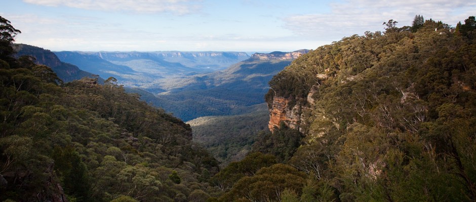 осень в Голубых горах в Австралии