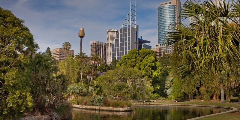 Королевский Ботанический сад в Сиднее