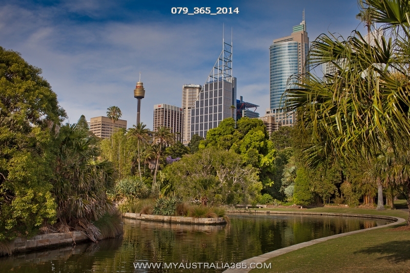 Королевский Ботанический сад в Сиднее