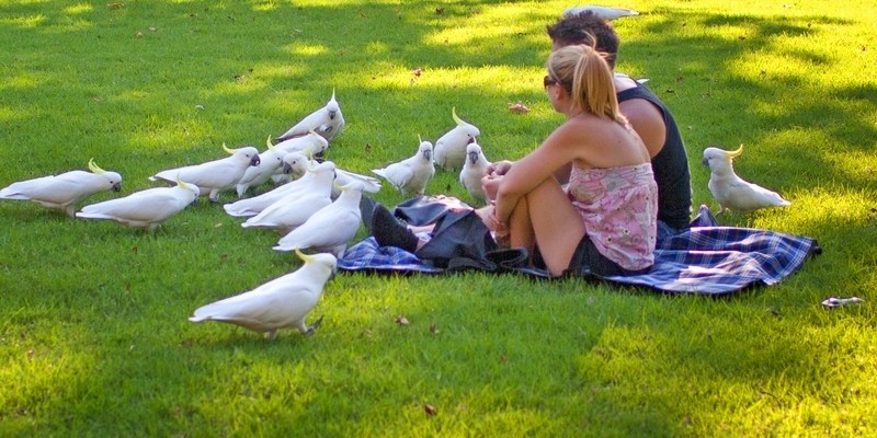 русская еда в Австралии