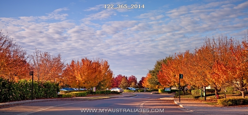 Осень в Охотничьей Долине Hunter Valley
