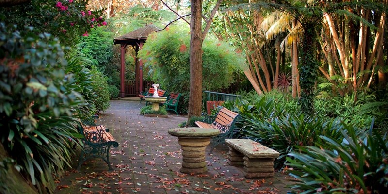 Парк камелий Camellia Garden в Сиднее