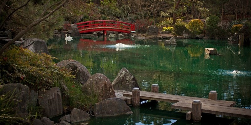 Японский сад в Сиднее