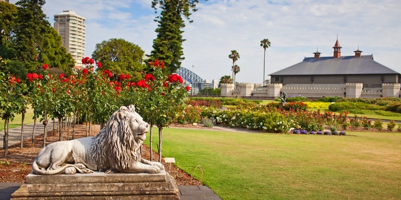 Королевский Ботанический сад