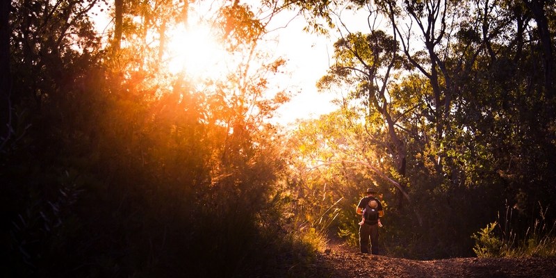 австралийский бушвокинг