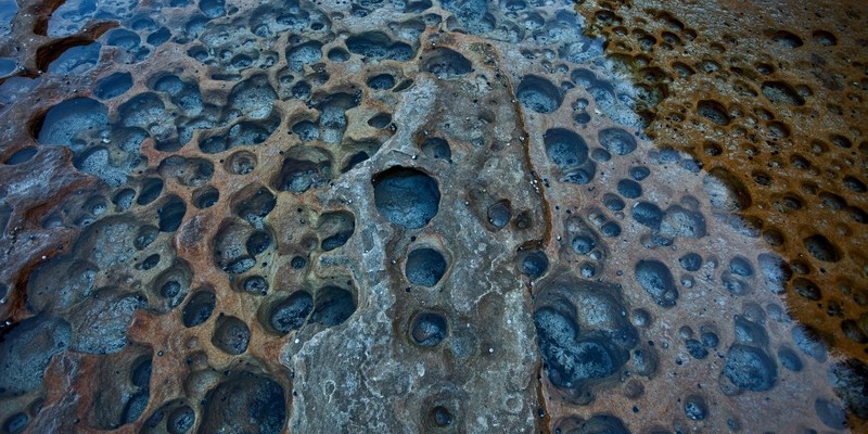 Прогулки вдоль океана в Сиднее