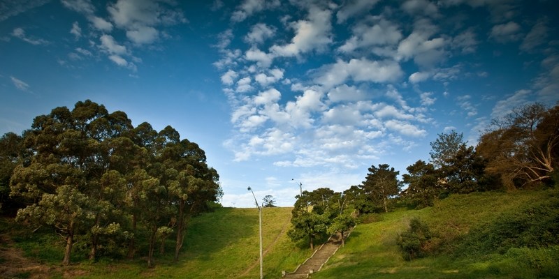Купер Парк Cooper Park в Сиднее