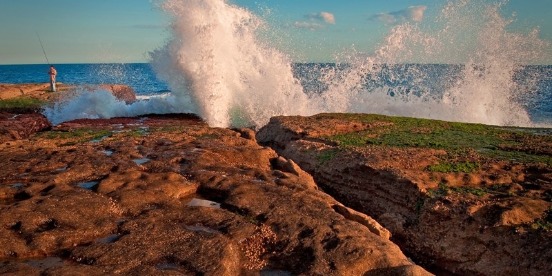 Северный Бондай North Sydney