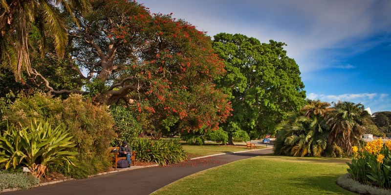 Серия про Сидней из цикла передач «Орел и Решка»