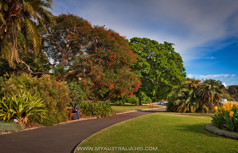 Серия про Сидней из цикла передач «Орел и Решка»