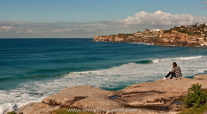 Тамарама Tamarama