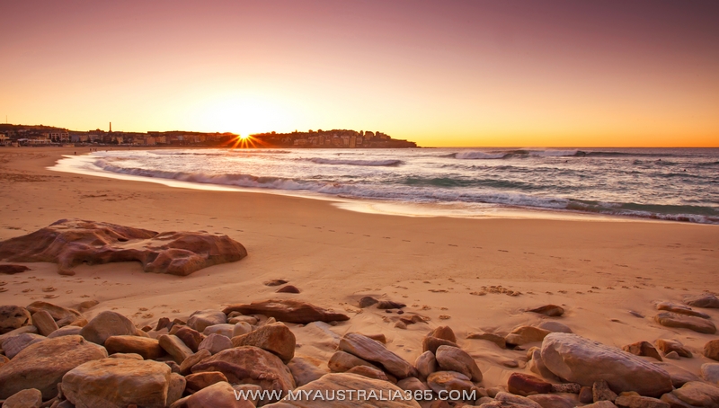  Утро на Бондай Бич Bondi Beach