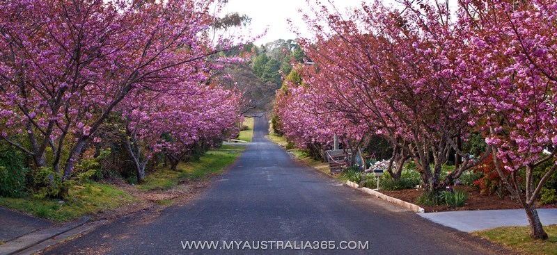 Поселок Леура Leura в Голубых Горах Blue Mountains