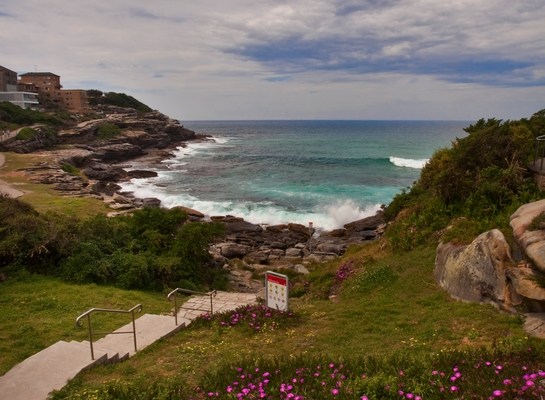 Тамарама Tamarama