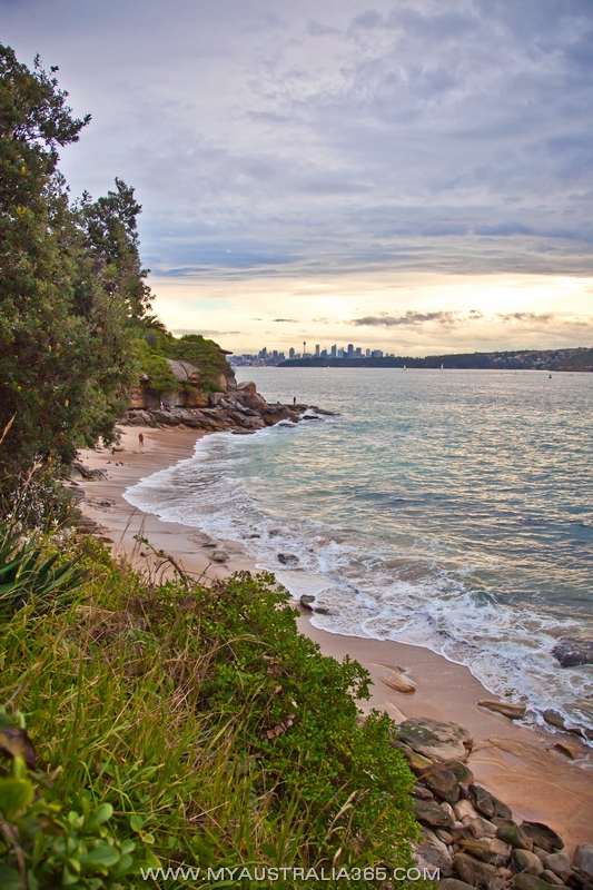 Нудисткий пляж Lady Bay Beach в черте города в Сиднее