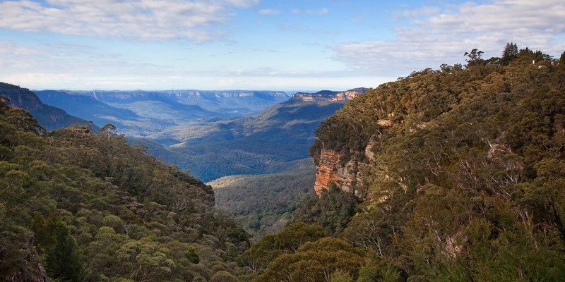 Голубые горы Blue Mountains