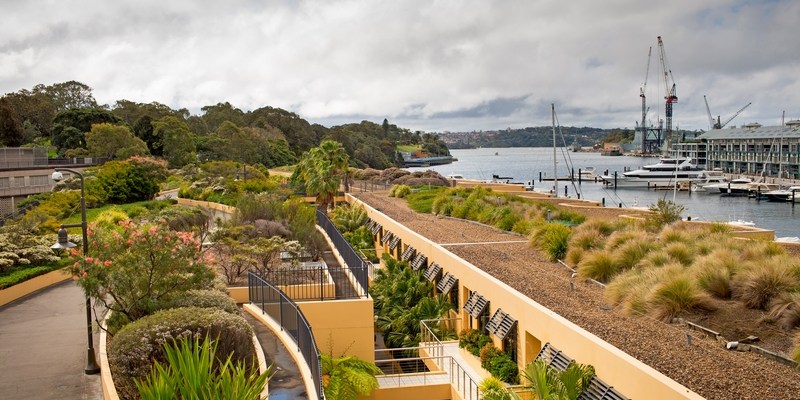 Зеленые крыши в Сиднее