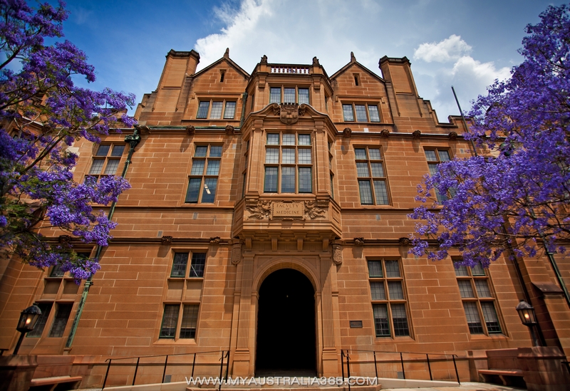 Медицинский факультет Университета Сиднея
