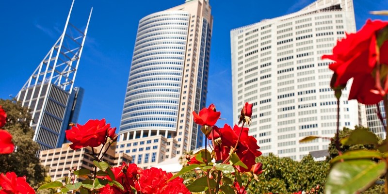 Королевский Ботанический сад в Сиднее