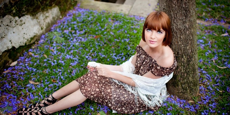 Где найти цветущую джакаранду в Сиднее