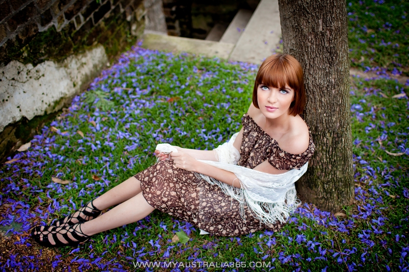 Где найти цветущую джакаранду в Сиднее