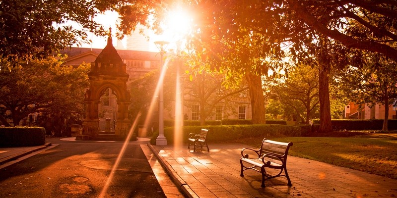 Австралийское солнце