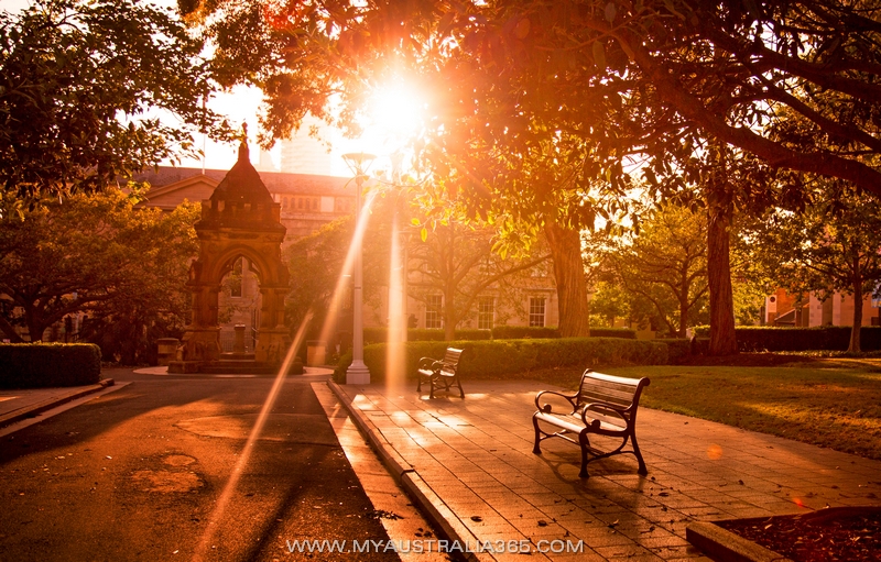 Австралийское солнце
