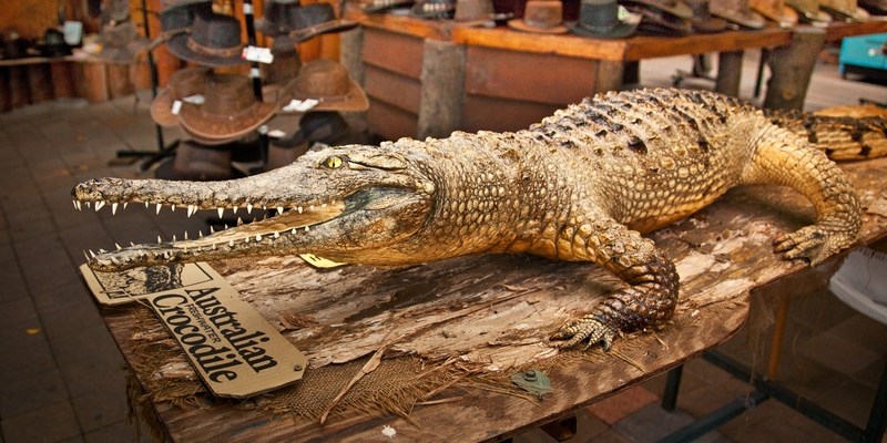 Анекдот про Австралию