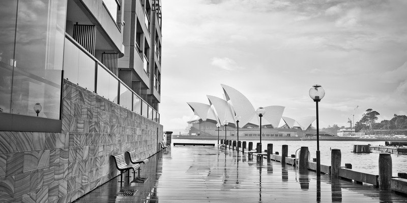 Плохой Сидней у блоггера Варламова