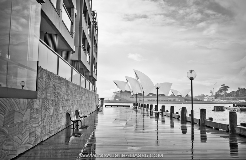  Плохой Сидней у блоггера Варламова