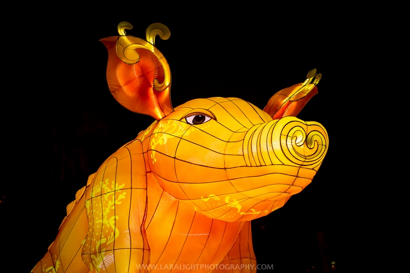 фестиваль света в Сиднее vivid Sydney