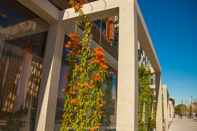 лучшие районы Сиднея Барангару